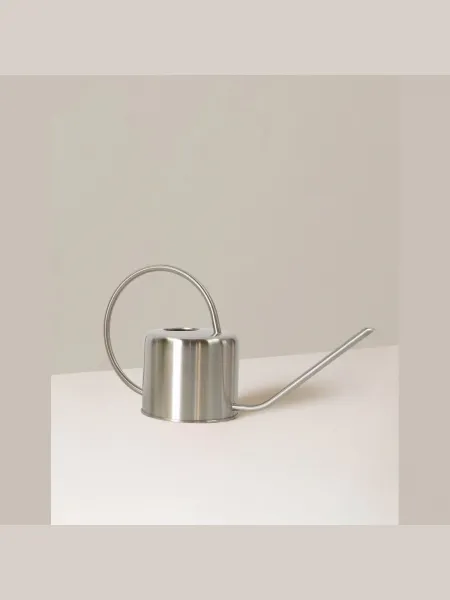 Gümüş Metal Sulama Kabı