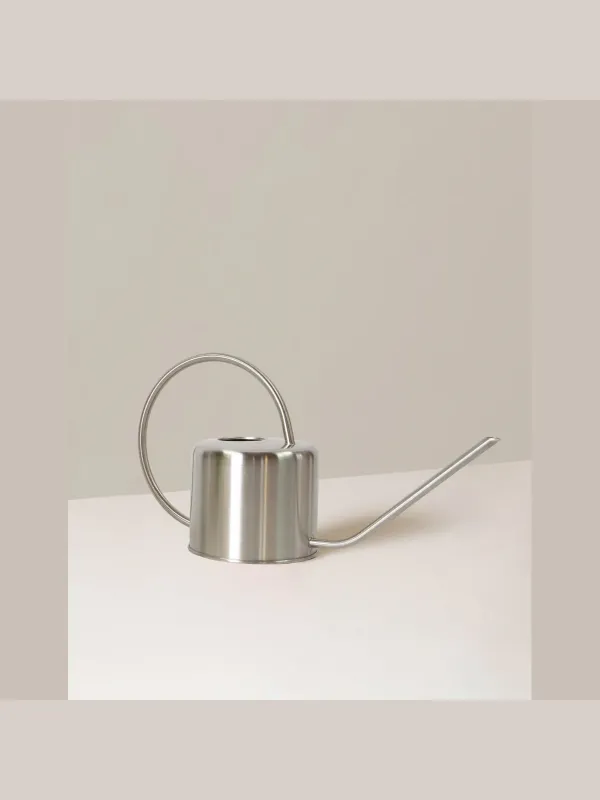 Gümüş Metal Sulama Kabı